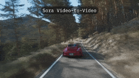 sora04.gif